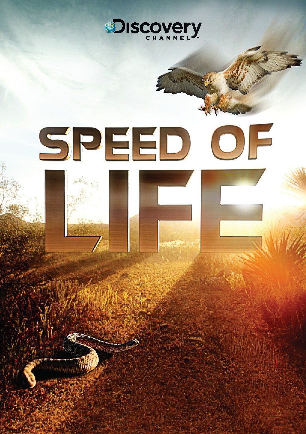 Speed of Life [DVD]