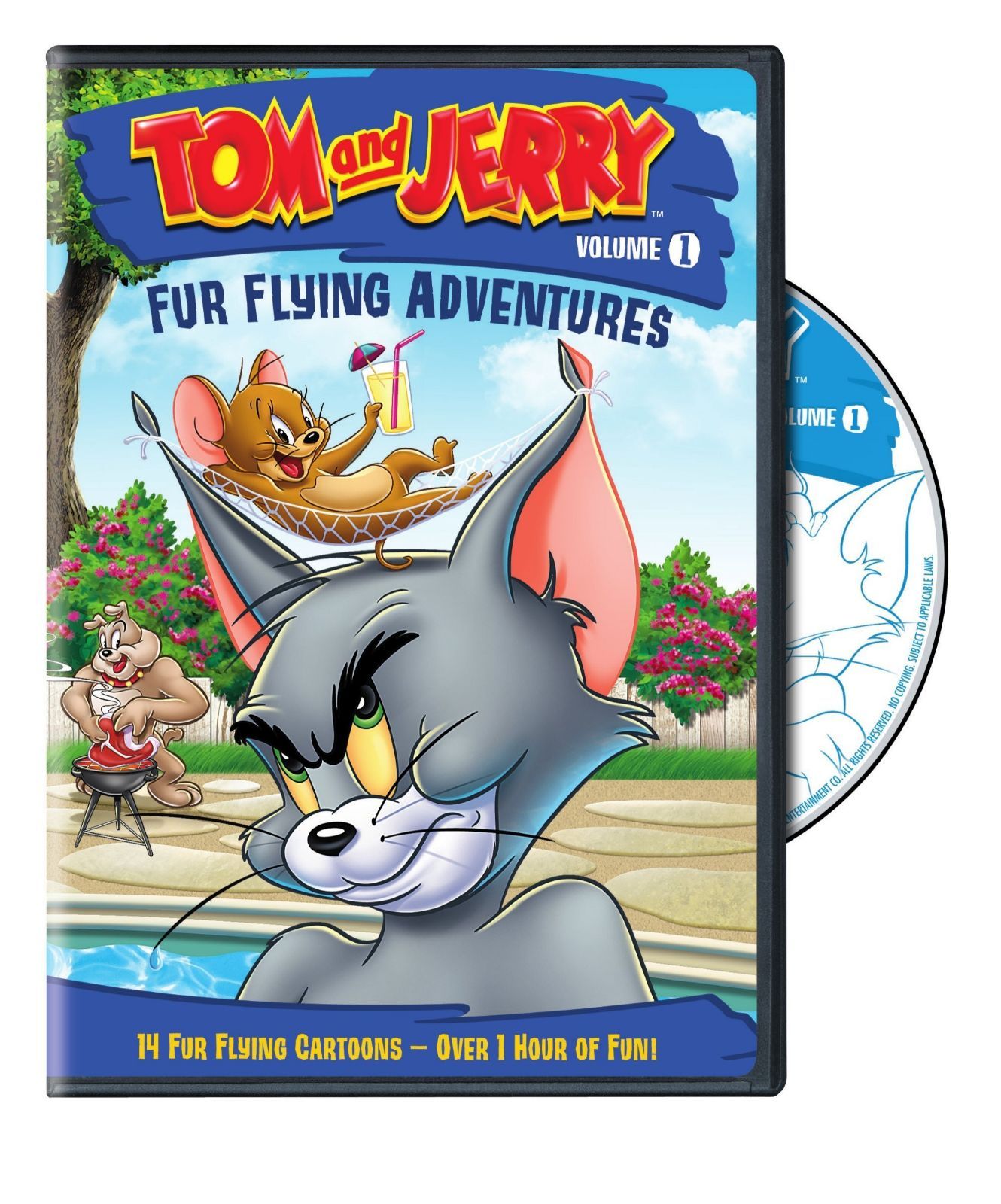 Tom & Jerry: Fur Flying Adventures 1 [DVD]