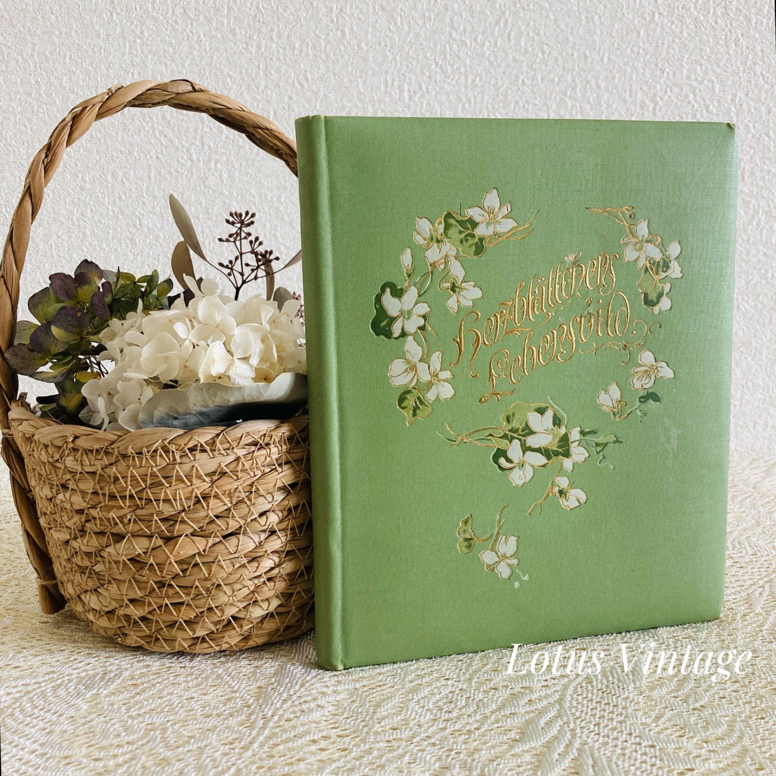 ドイツのベビーアルバム 1910年頃 クロモリトグラフ挿絵12点収録 アンティーク古書 洋書