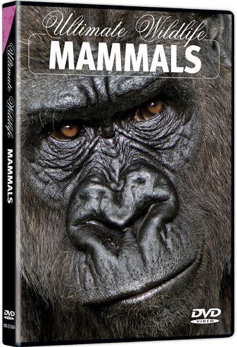 Ultimate Wildlife: Mammals [DVD]