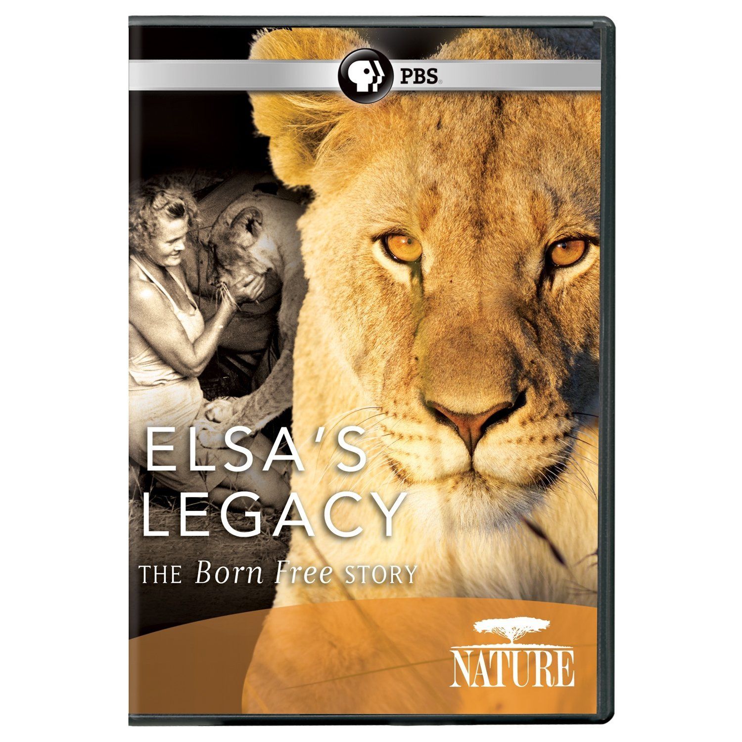 Nature: Elsa's Legacy: The Born Free Story [DVD] [Import]