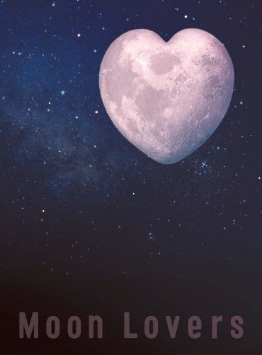 月の恋人～Moon Lovers～　通常版DVD-BOX 11,033円