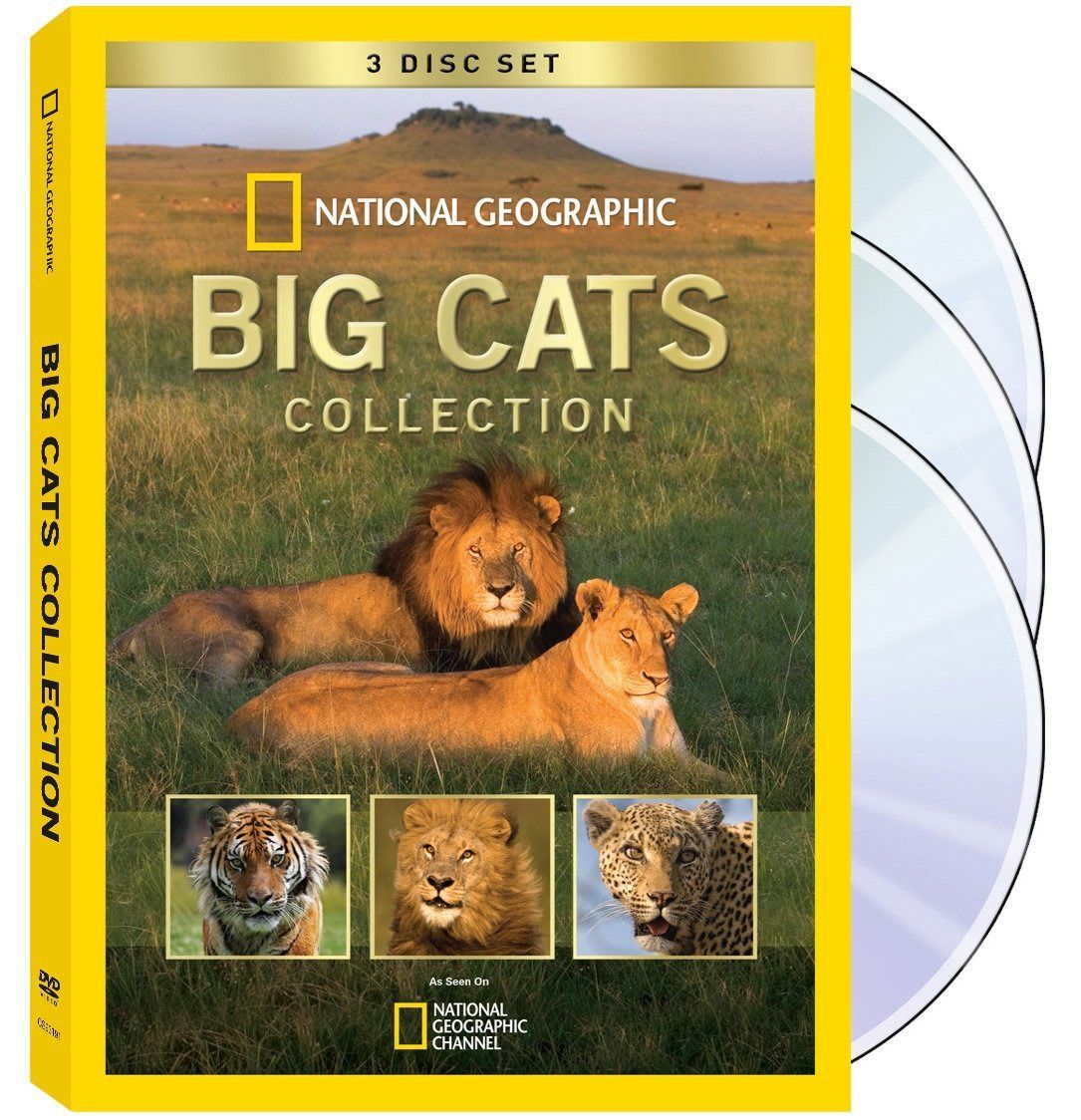 Big Cats Collection [DVD]
