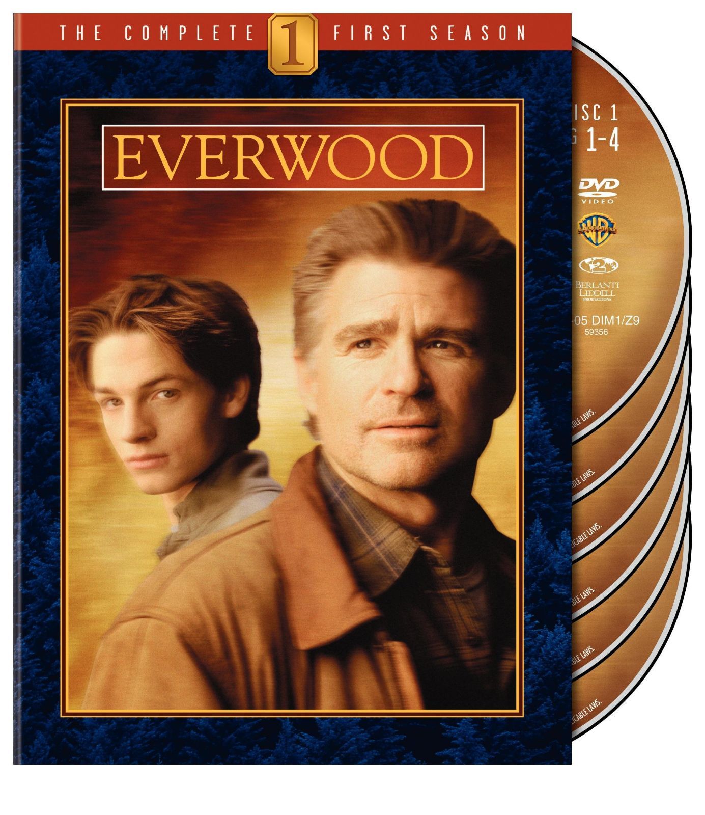 Everwood: Complete First Season [DVD]