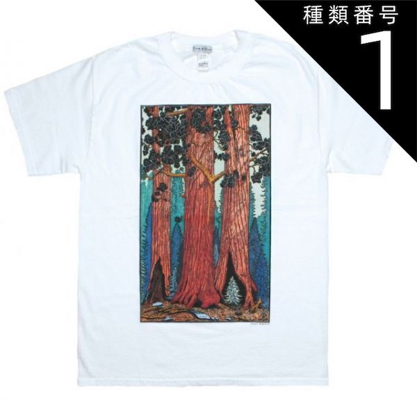 種類1：Small [Tom Killion] Giant Sequoias Tee (White) - トム・キリオン Tシャツ