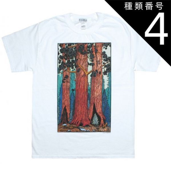 種類4：X-Large [Tom Killion] Giant Sequoias Tee (White) - トム・キリオン Tシャツ