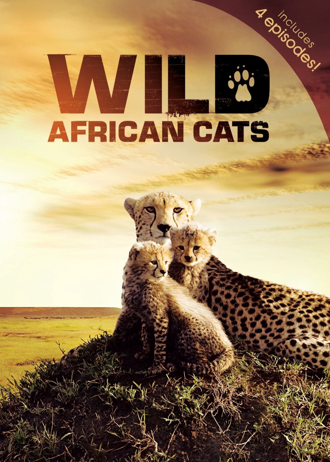 Wild African Cats [DVD]