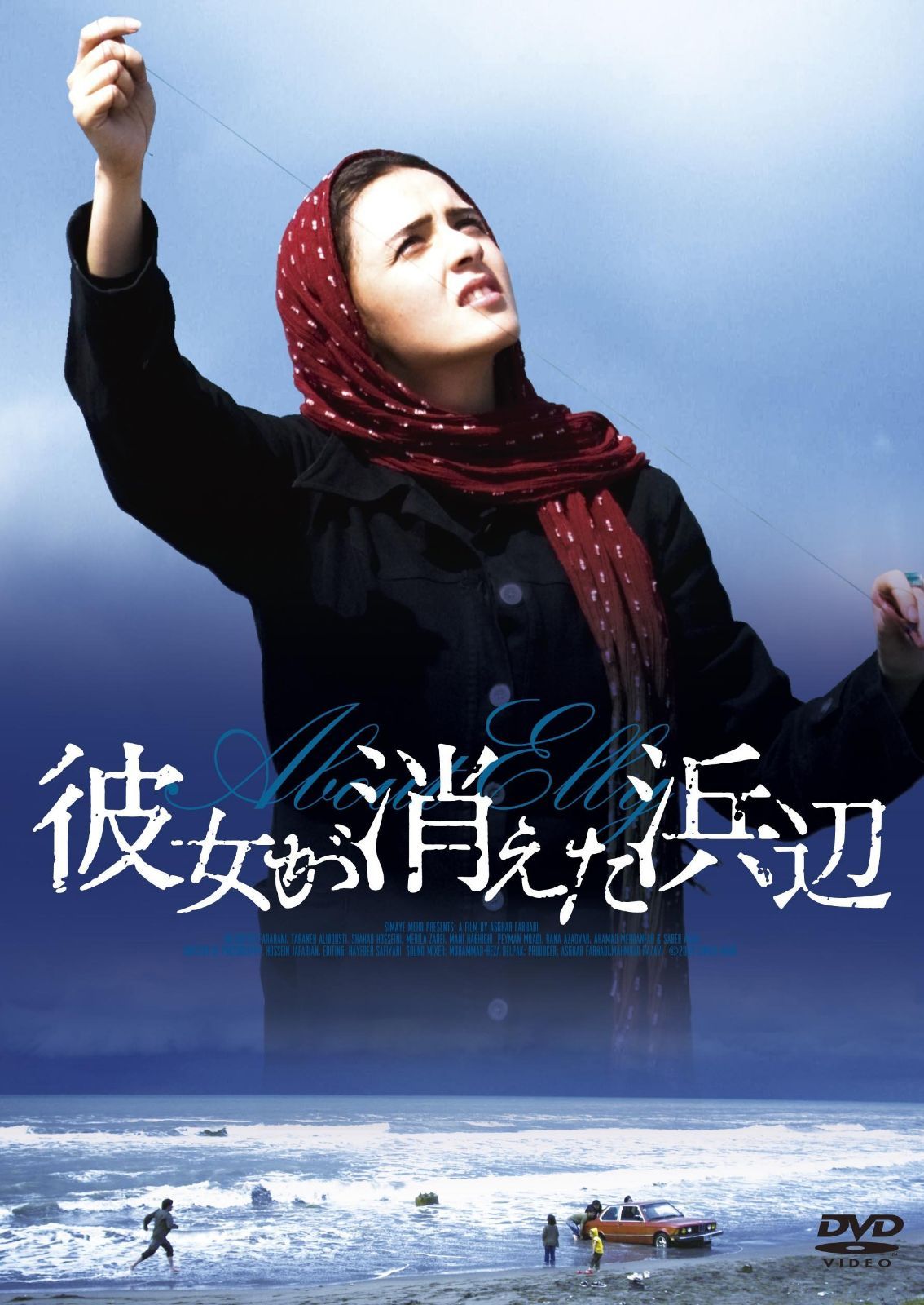 彼女が消えた浜辺 [DVD]
