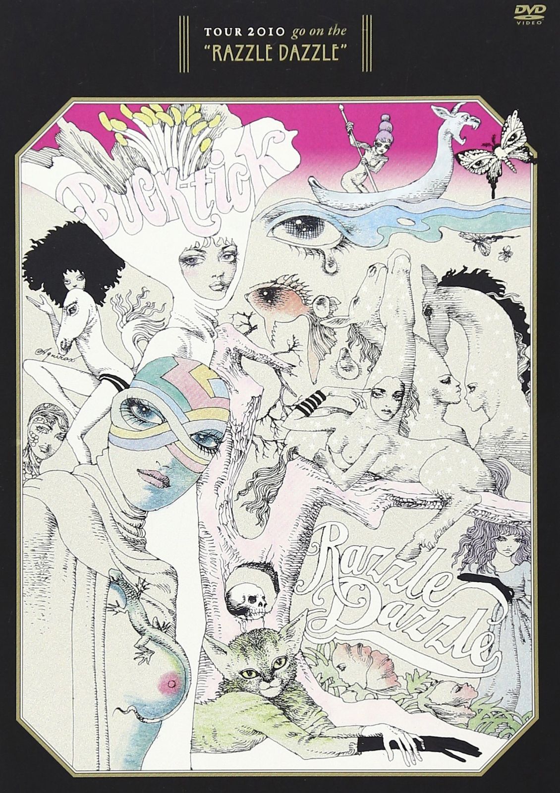 TOUR2010 go on the “RAZZLE DAZZLE” [DVD]