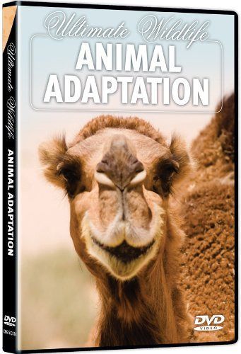 Ultimate Wildlife: Animal Adaptation [DVD]