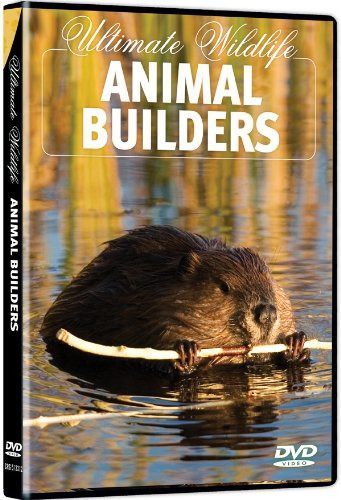 Ultimate Wildlife: Animal Builders [DVD]