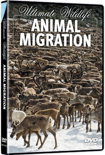 Ultimate Wildlife: Animal Migration [DVD]