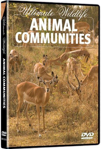 Ultimate Wildlife: Animal Communities [DVD]