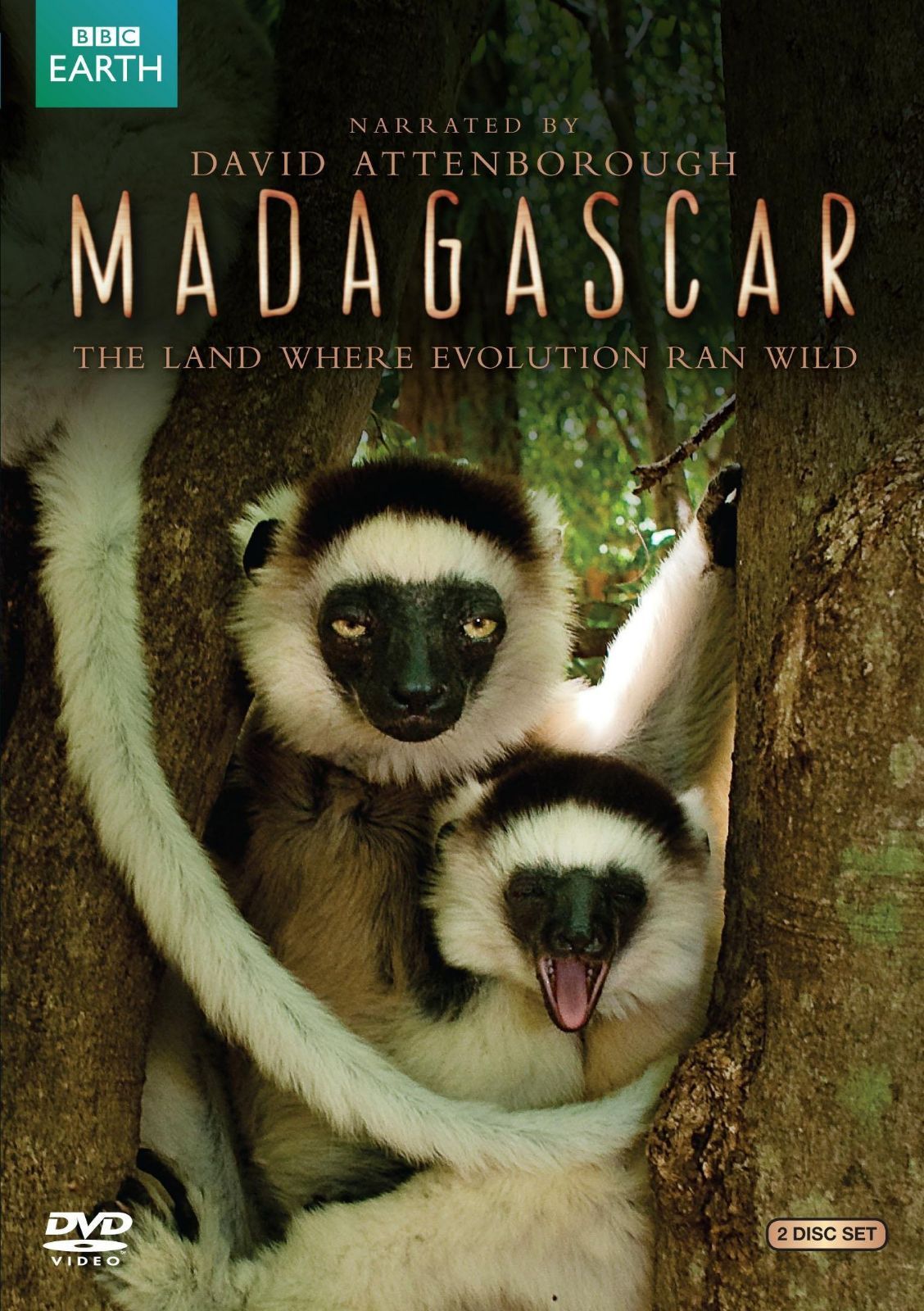 Madagascar [DVD]