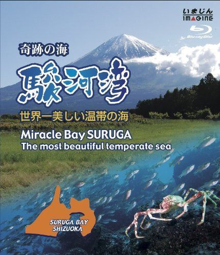奇跡の海　駿河湾　－世界一美しい温帯の海－ [Blu-ray]