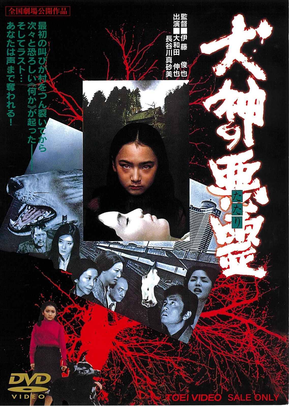 犬神の悪霊 [DVD]