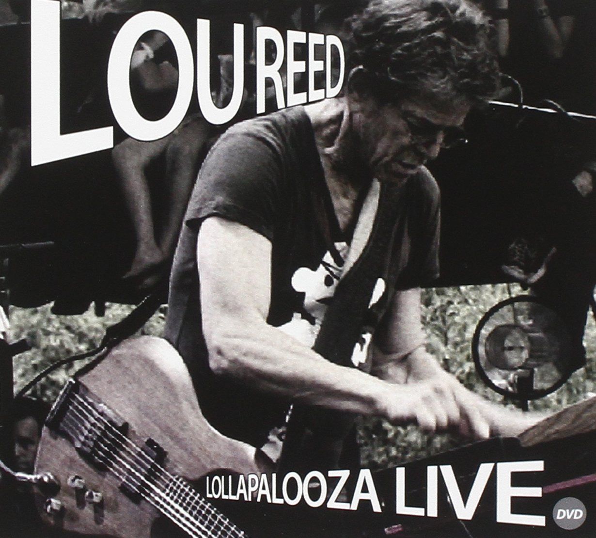 Lollapalooza Live [DVD]