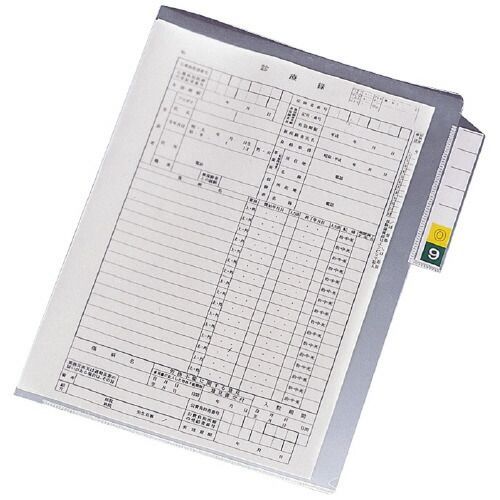 カルテフォルダーシングルポケット　縦　Ａ４　シングルポケット　２００枚入 HK7608-ﾐ【リヒトラブ】