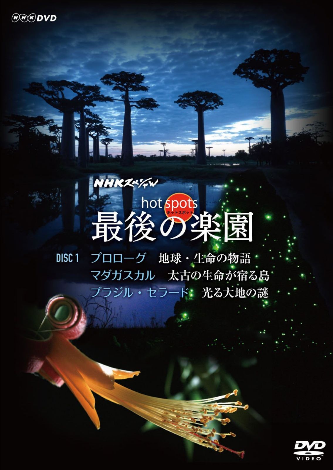 本 あんガル 小説 オーバーラップ文庫 初版 美品 日日日 購入特典付き