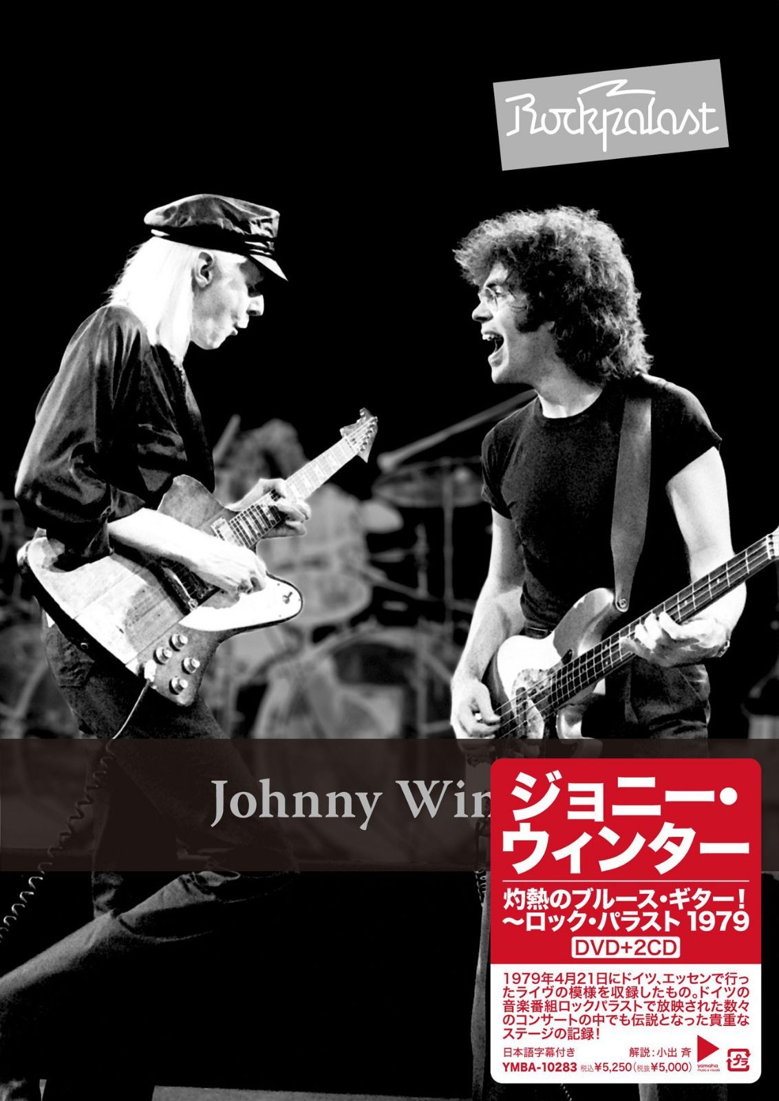 灼熱のブルース・ギター!ロック・パラスト1979 [DVD]