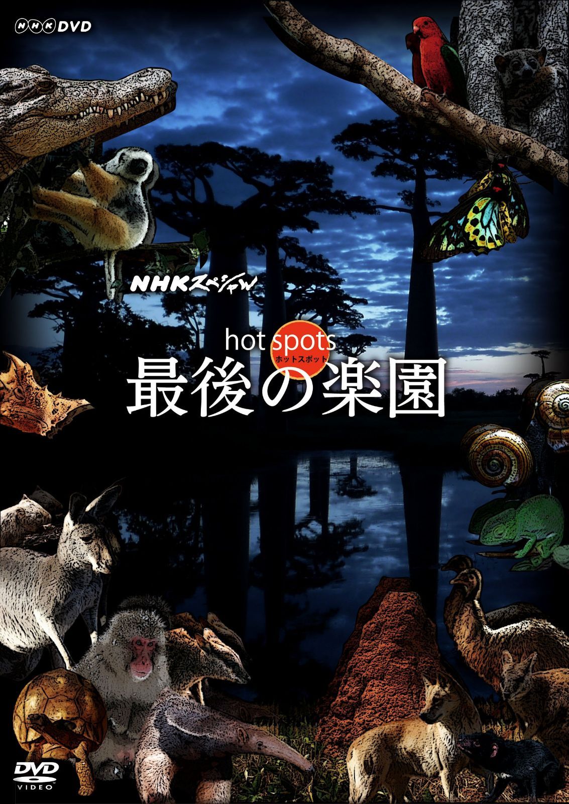 NHKスペシャル ホットスポット 最後の楽園 DVD BOX