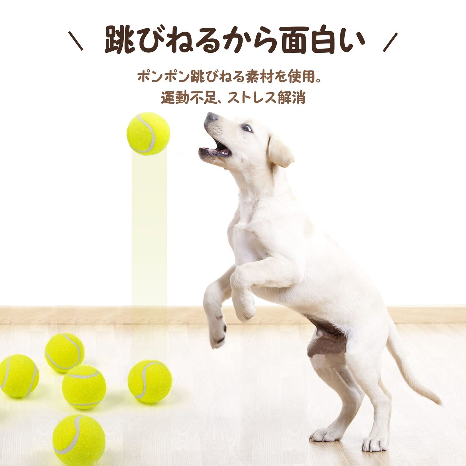 pet prime 犬用おもちゃ ミニテニスボール 6個入り 直径5cm ボール