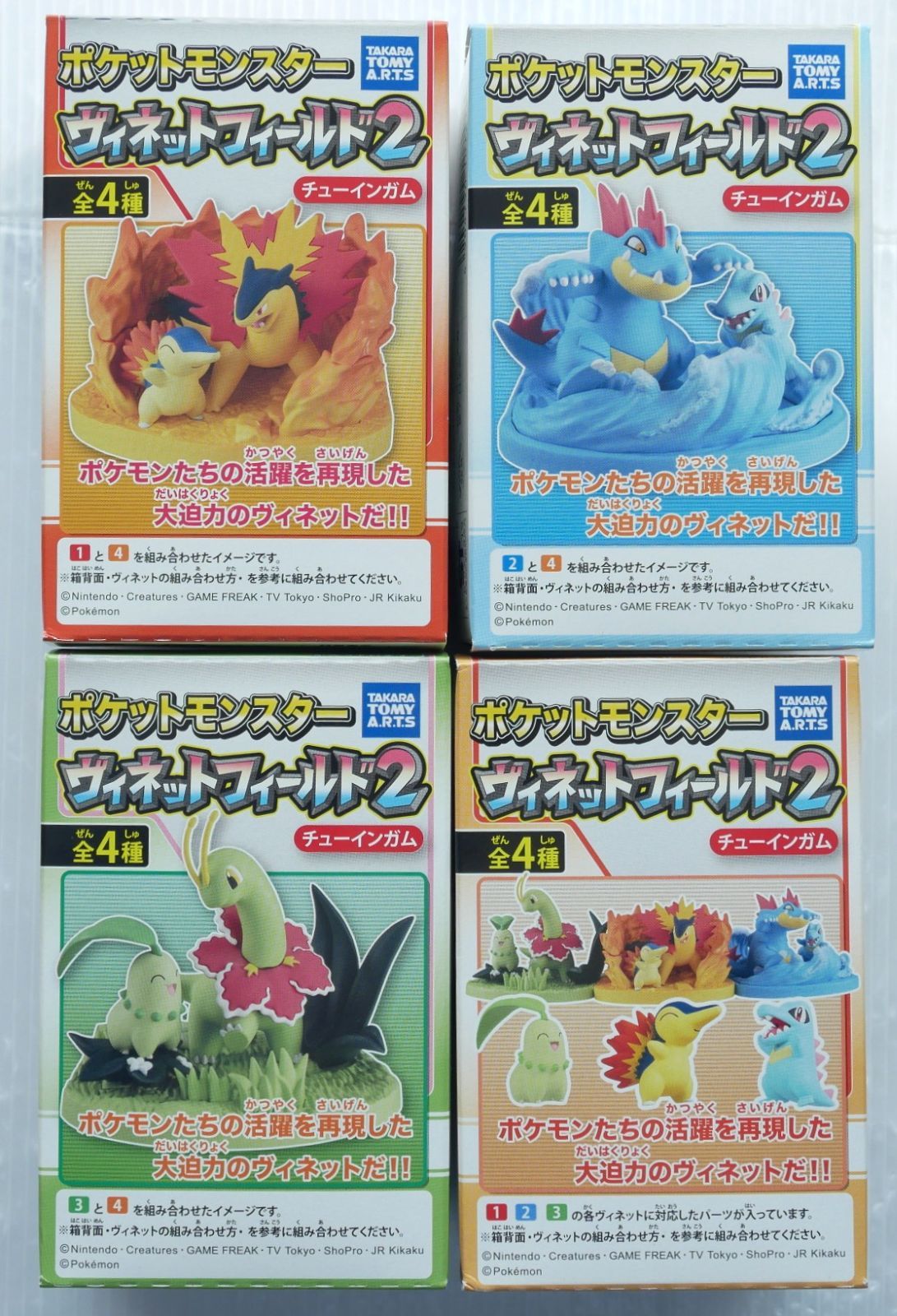 未開封です) ポケットモンスター ヴィネットフィールド2 - Pokemon
