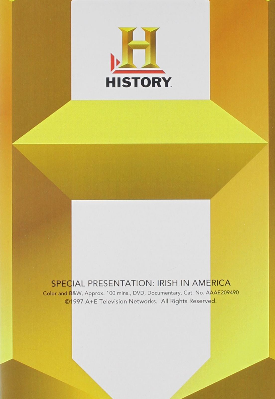The Irish in America [DVD]