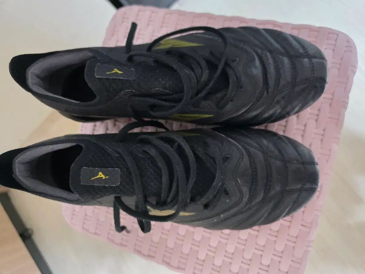 mizuno モレリア NEO₍ネオ)4 ベータ エリートMD 255サイズ