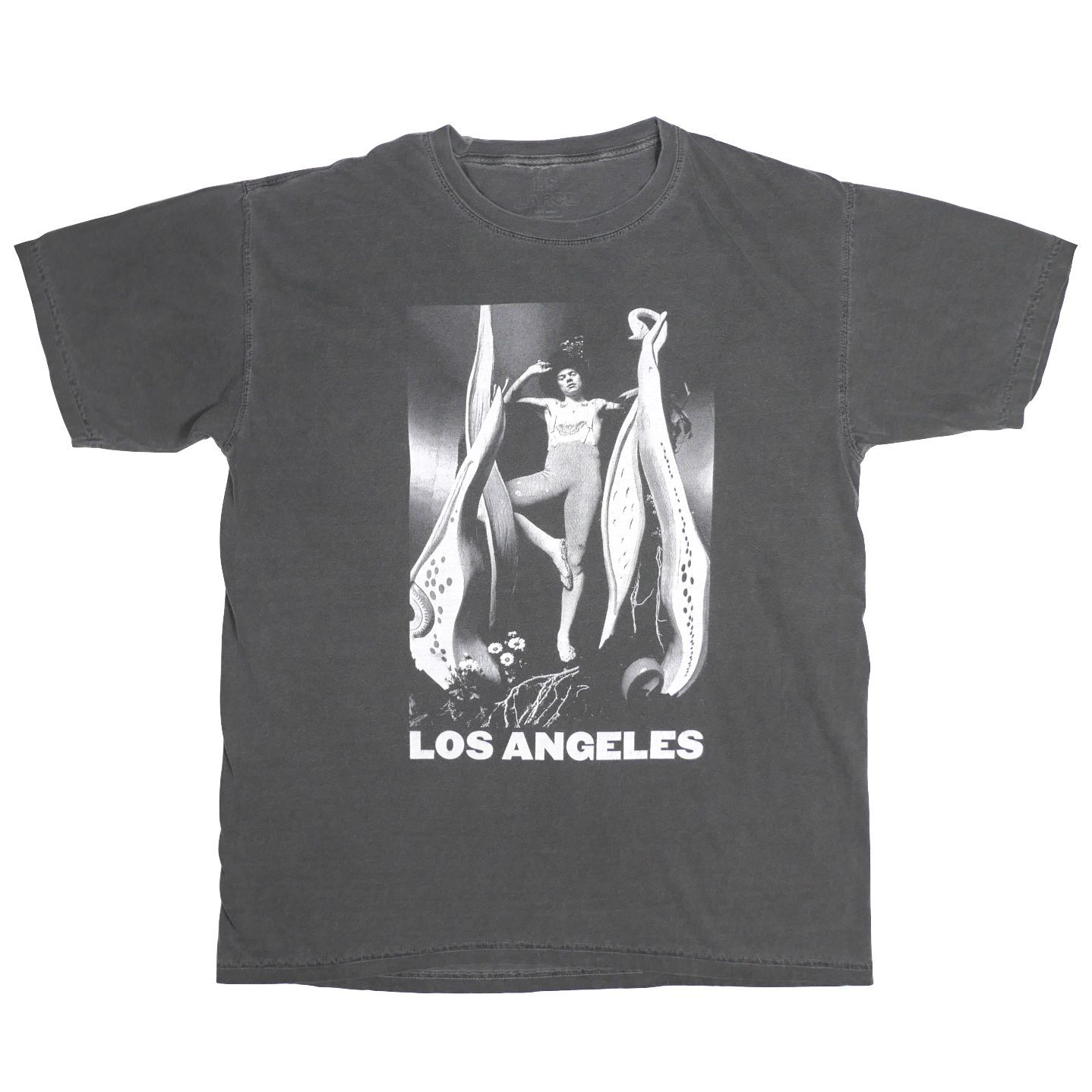 L】Harry Styles ハリースタイルズ ロサンゼルス限定 Fine Line T