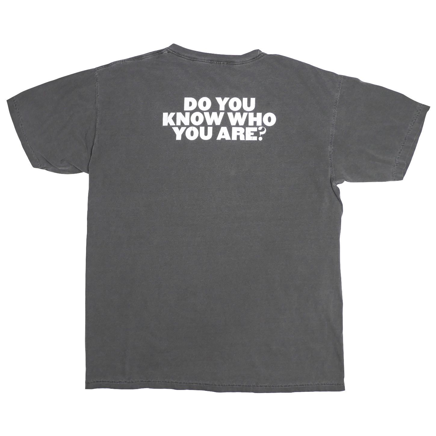 L】Harry Styles ハリースタイルズ ロサンゼルス限定 Fine Line T