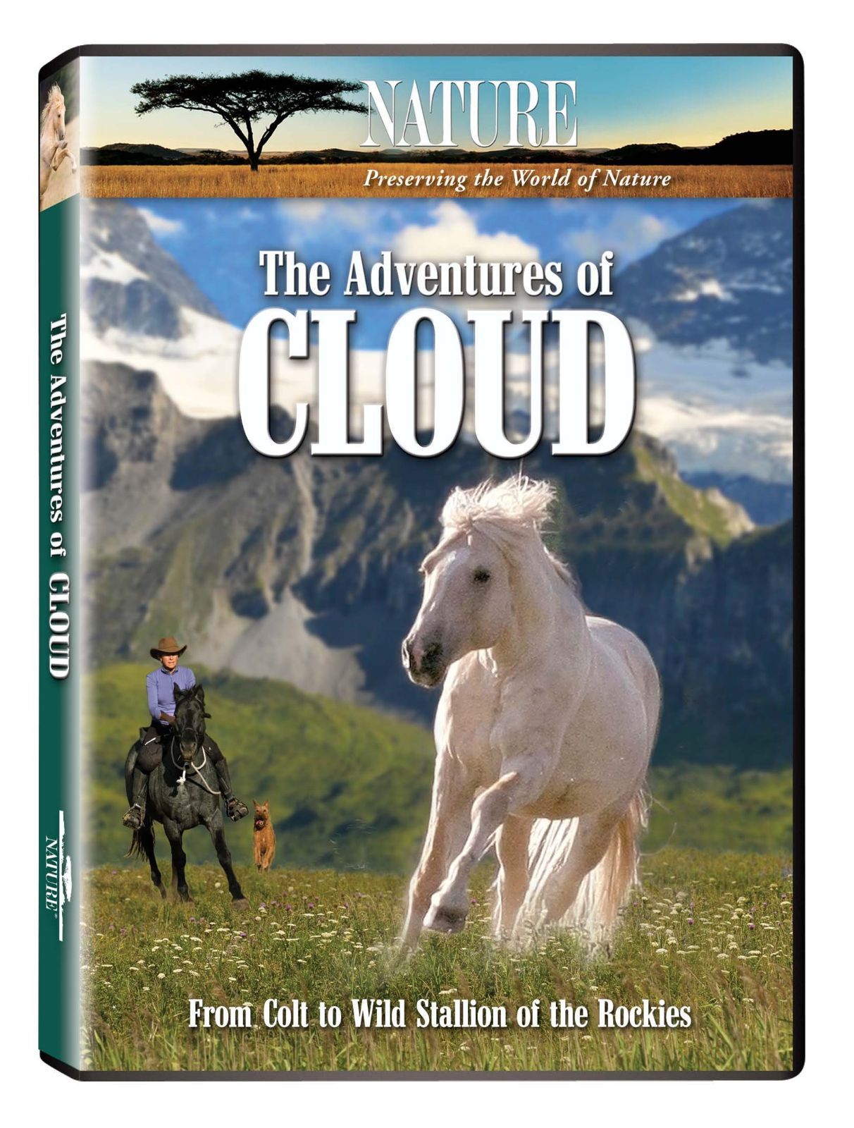 Adventures of Cloud [DVD]