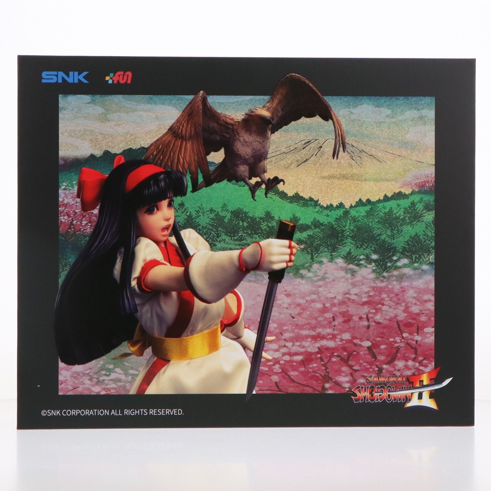 予約特典付属 ナコルル 真サムライスピリッツ 覇王丸地獄変 1/6 コレクティブル フィギュア 完成品 可動フィギュア(TS-018)(海外流通版) TUNSHI STUDIO(タンシスタジオ)