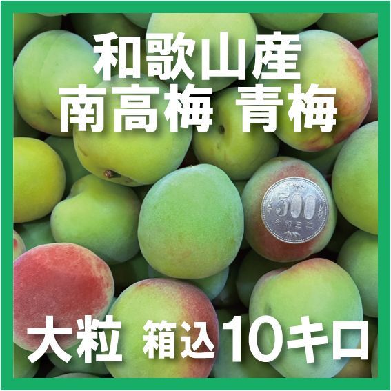 【大粒】 南高梅 青梅 秀品2L以上 箱込10kg 大粒】 南高梅 青梅 秀品2L以上 箱込10kg