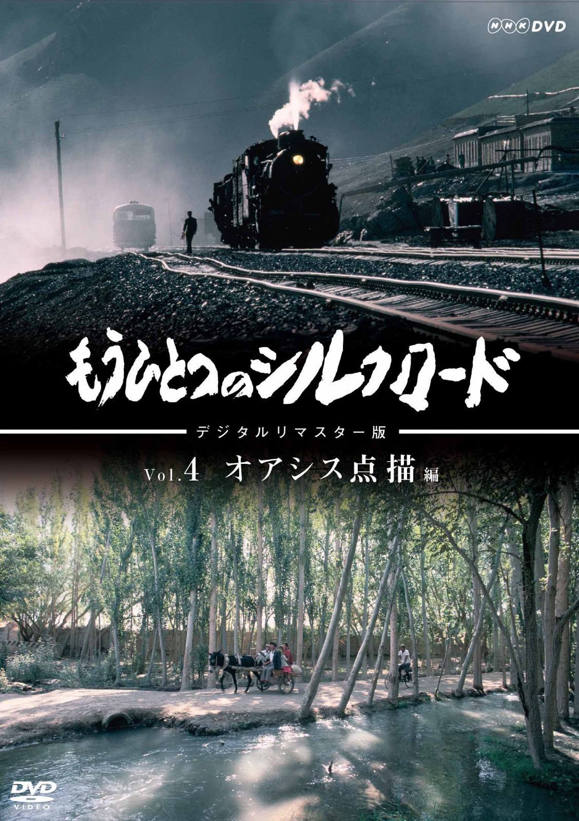 もうひとつのシルクロード Vol.４ オアシス点描 [DVD]