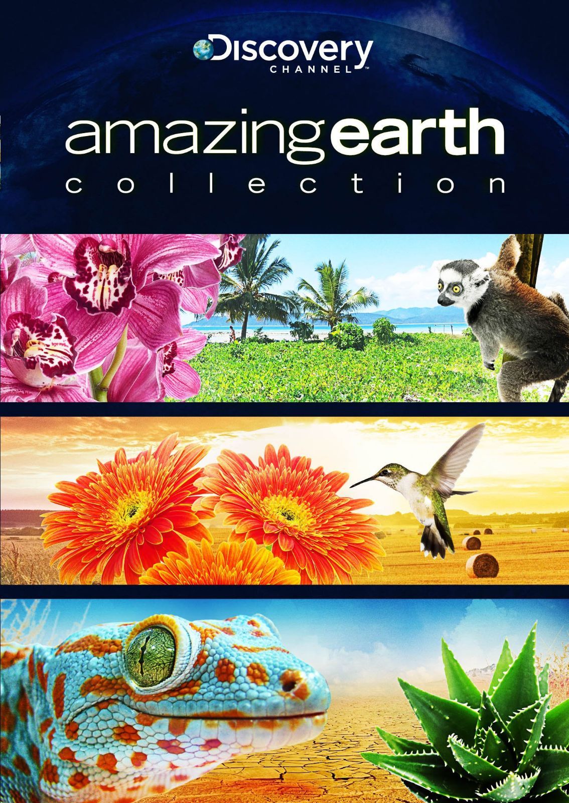 Amazing Earth Collection [DVD]