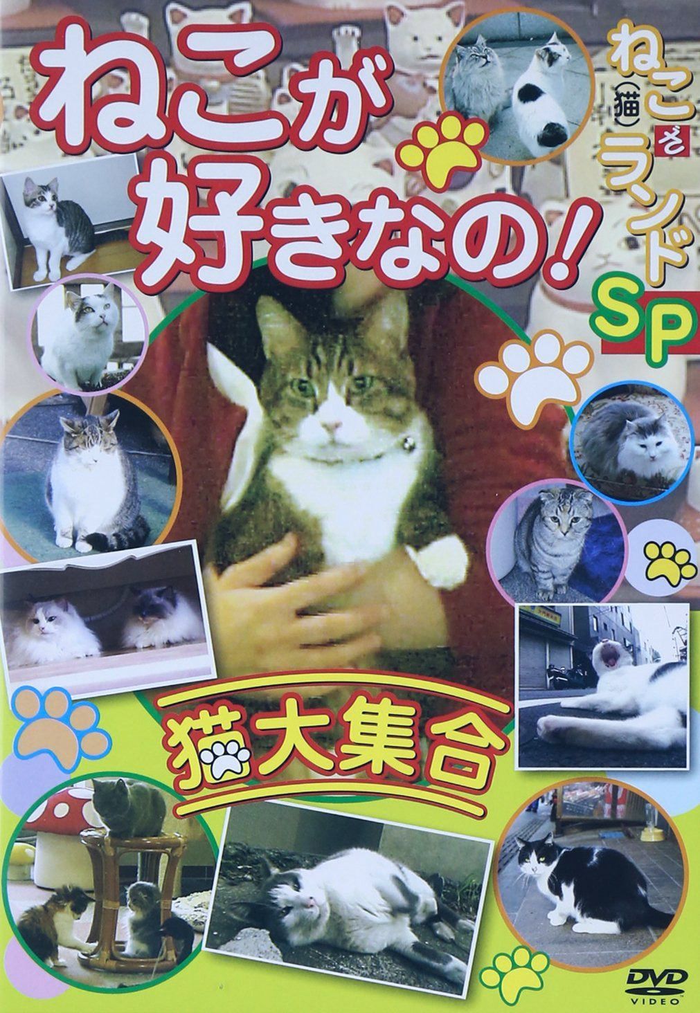 ねこが好きなの!猫大集合 ねこ(猫)ざ ランドSP [DVD]