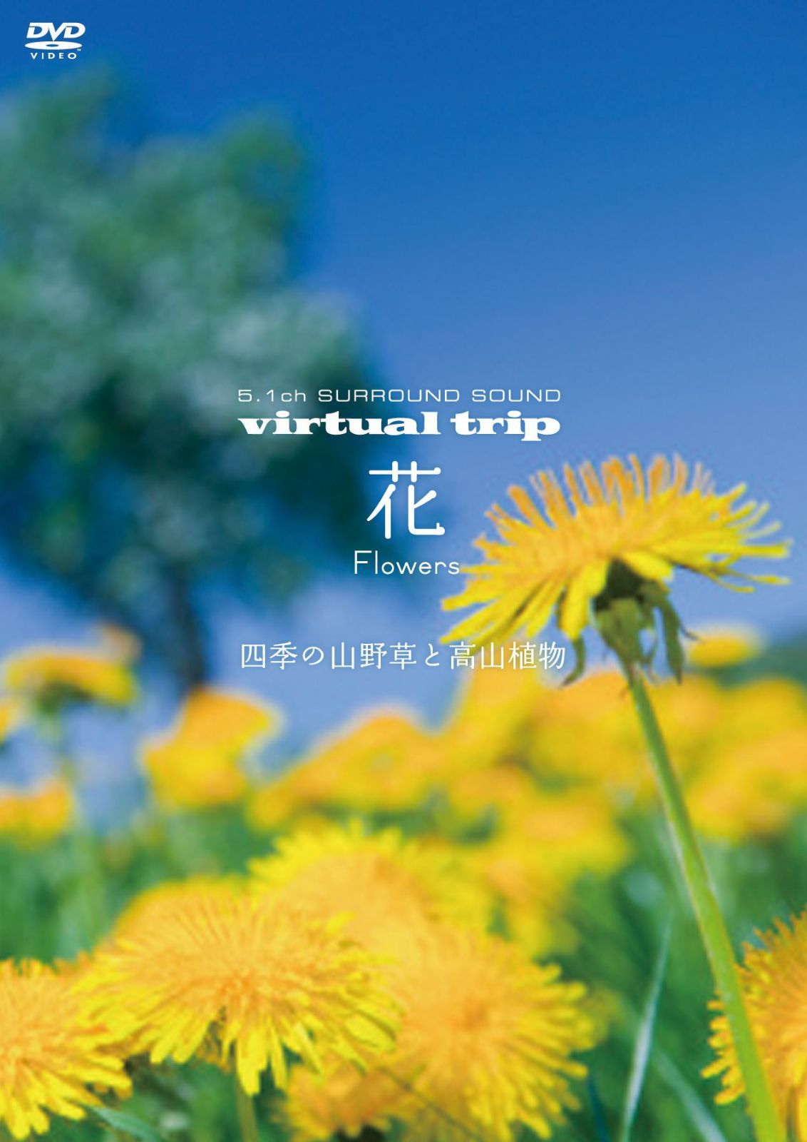 virtual trip　花　Flowers　四季の山野草と高山植物 [DVD]