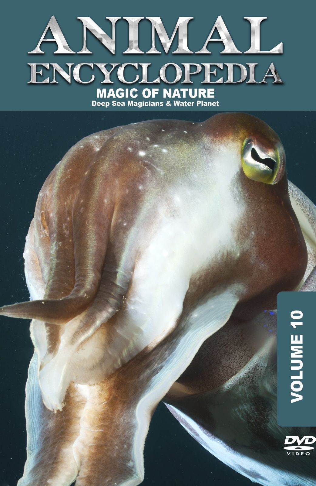 Animal Encyclopedia 10: Deep Sea Magicians & Water [DVD]