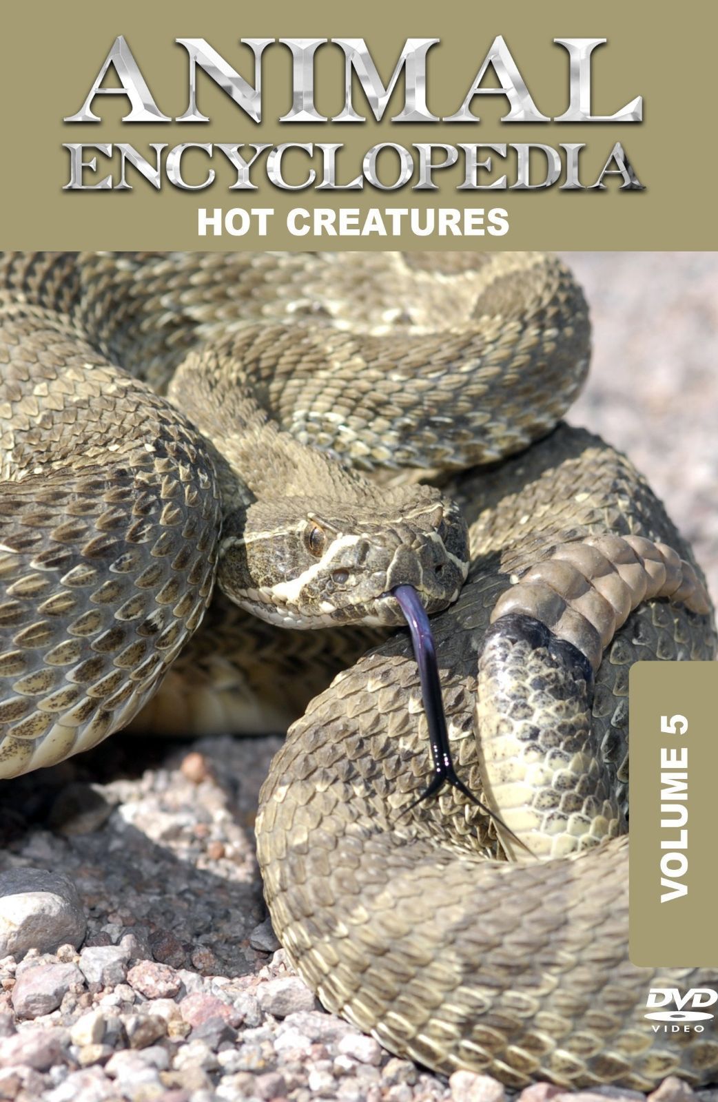 Animal Encyclopedia 5: Hot Creatures [DVD]