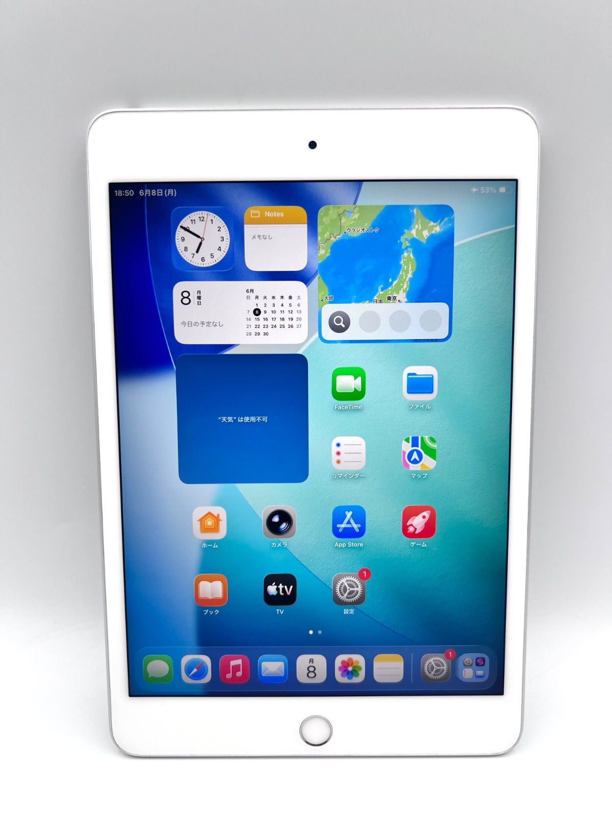 B255// iPad mini 第5世代 Wifi モデル 64GB シルバー