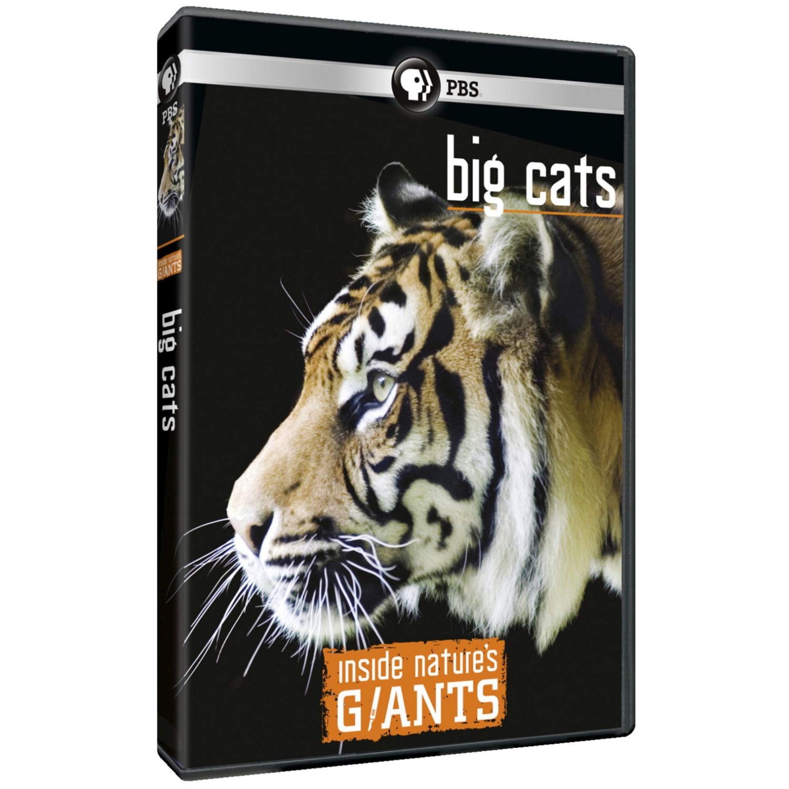 Inside NatureS Giants: Big Cats [DVD]