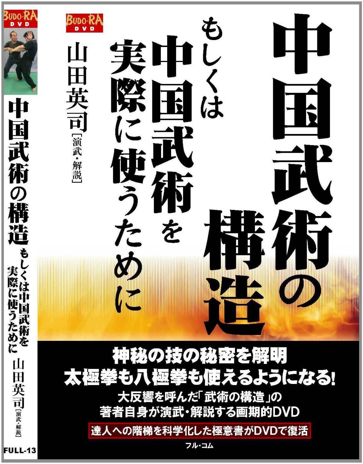 中国武術の構造 もしくは中国武術を実際に使うために [DVD]FULL-13