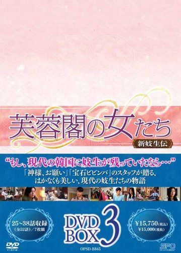 芙蓉閣の女たち~新妓生伝 DVD-BOX3