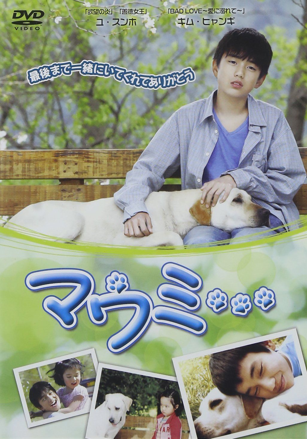 マウミ・・・ [DVD]