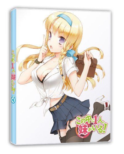 この中に1人、妹がいる! Vol.4 [DVD]