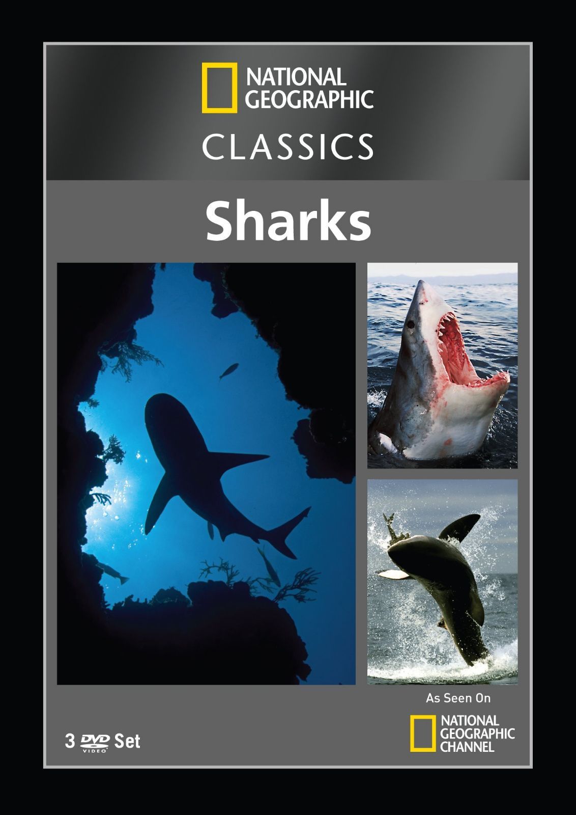 その他 Nat'l Geo: Classics - Sharks [DVD] Nat'l Geo: Classics - Sharks [DVD]