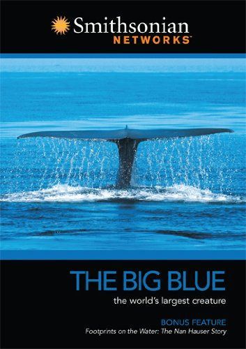 Smithsonian Channel: Big Blue [DVD]