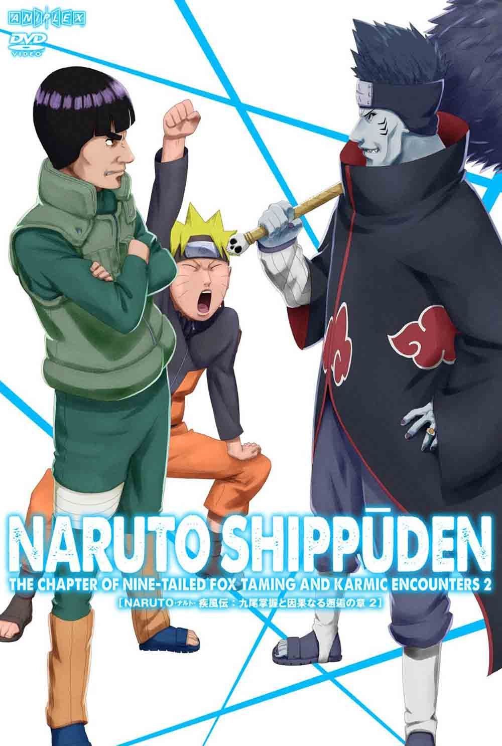 NARUTO-ナルト- 疾風伝 九尾掌握と因果なる邂逅の章 2 [DVD]
