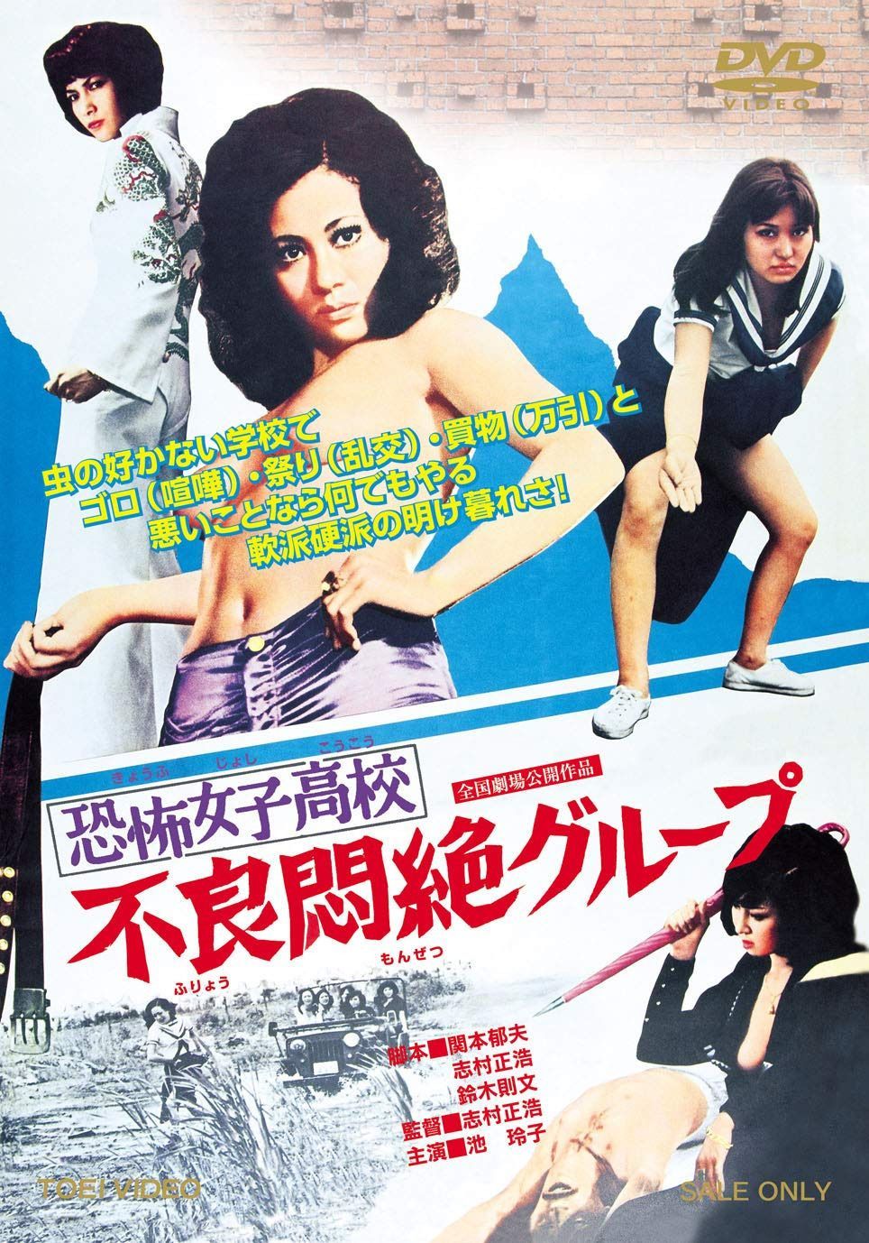 恐怖女子高校 不良悶絶グループ [DVD]